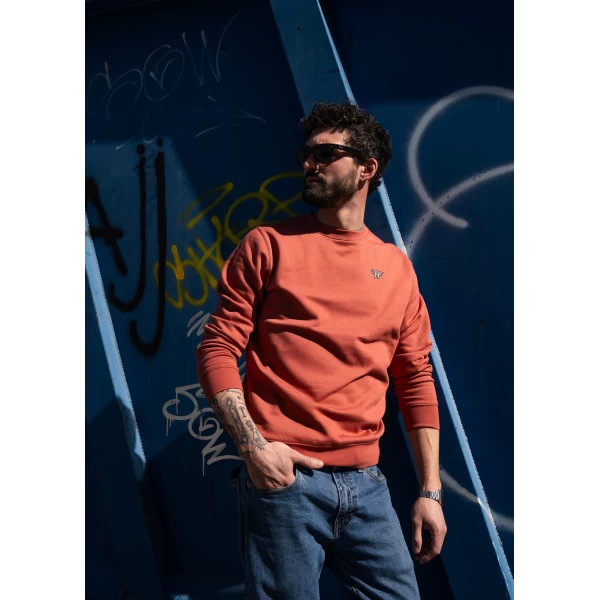 Rusty graphic detail on Holyfreedom vintage motorcycle sweatshirt with custom garage mood